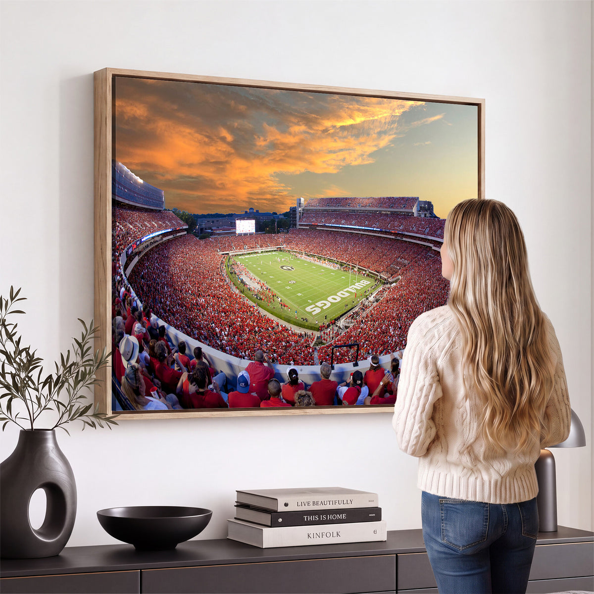 73680988-MGV-CV-36X24 - Dooley Stadium Wall Art, Sports Arena Canvas Print, Dooley Field, Framed and Ready to Hang