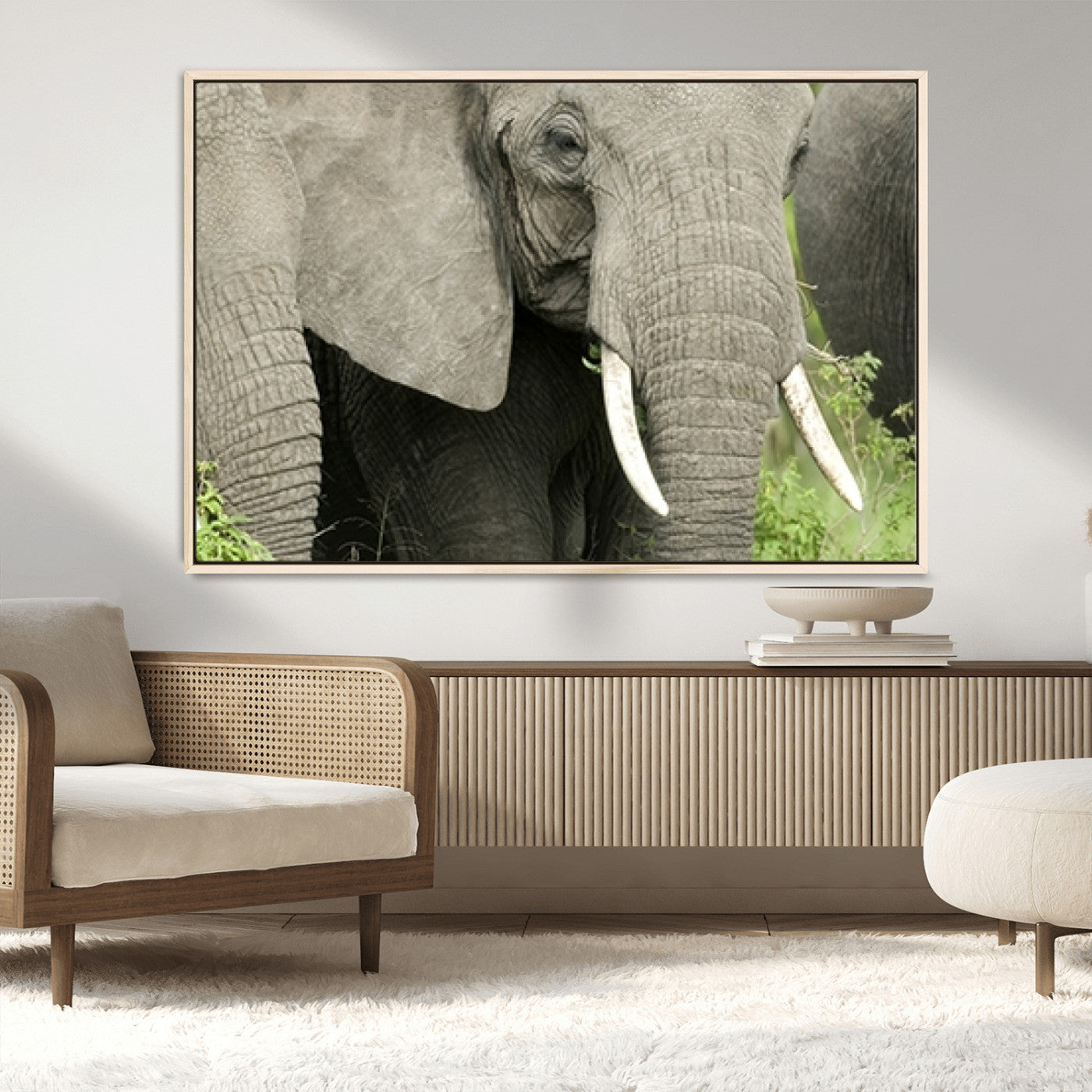 MGV-FC-36X24 - Wild Elephant Wall Art Canvas Print