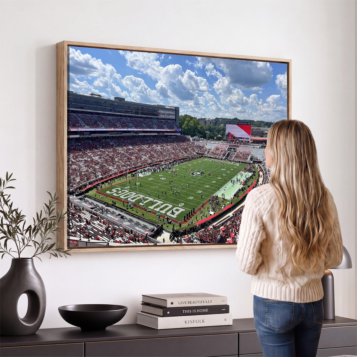 10665453-MGV-CV-36X24 - Georgia Bulldogs Stadium Wall Art Canvas Print, Sanford, Framed and Ready to Hang
