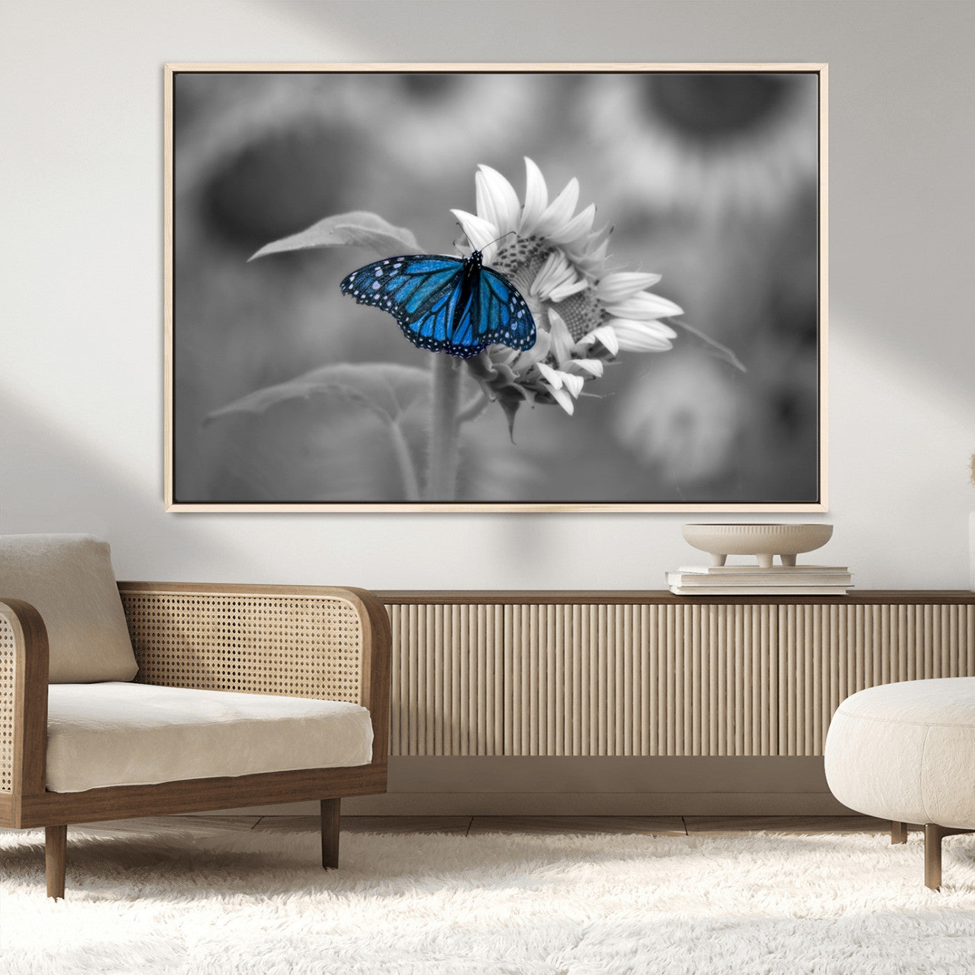 MGV-FC-36X24 - Blue Butterfly Black and White Canvas Wall Art