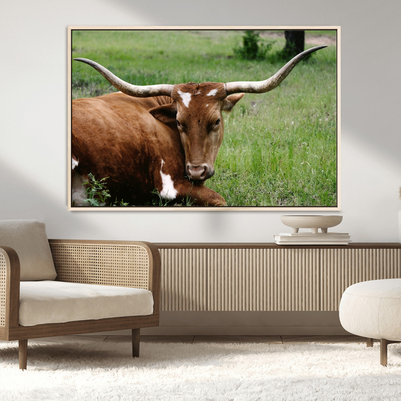 MGV-FC-36X24 - Longhorn Cow Animal Wall Art Canvas Print