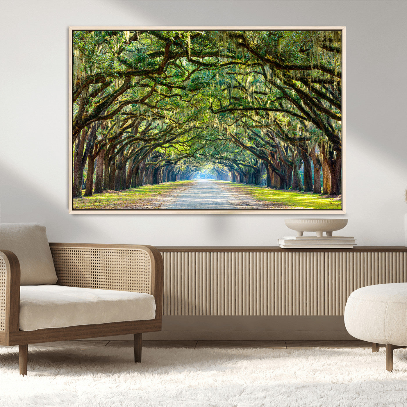 MGV-FC-36X24 - Wormsloe State Plantation Driveway Wall Art Canvas Print