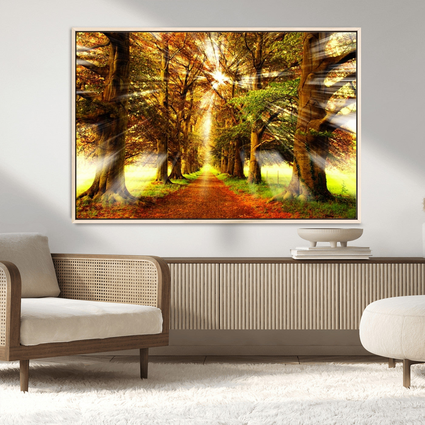 MGV-FC-36X24 - Sunshine in Forest and Trees Wall Art Canvas Print