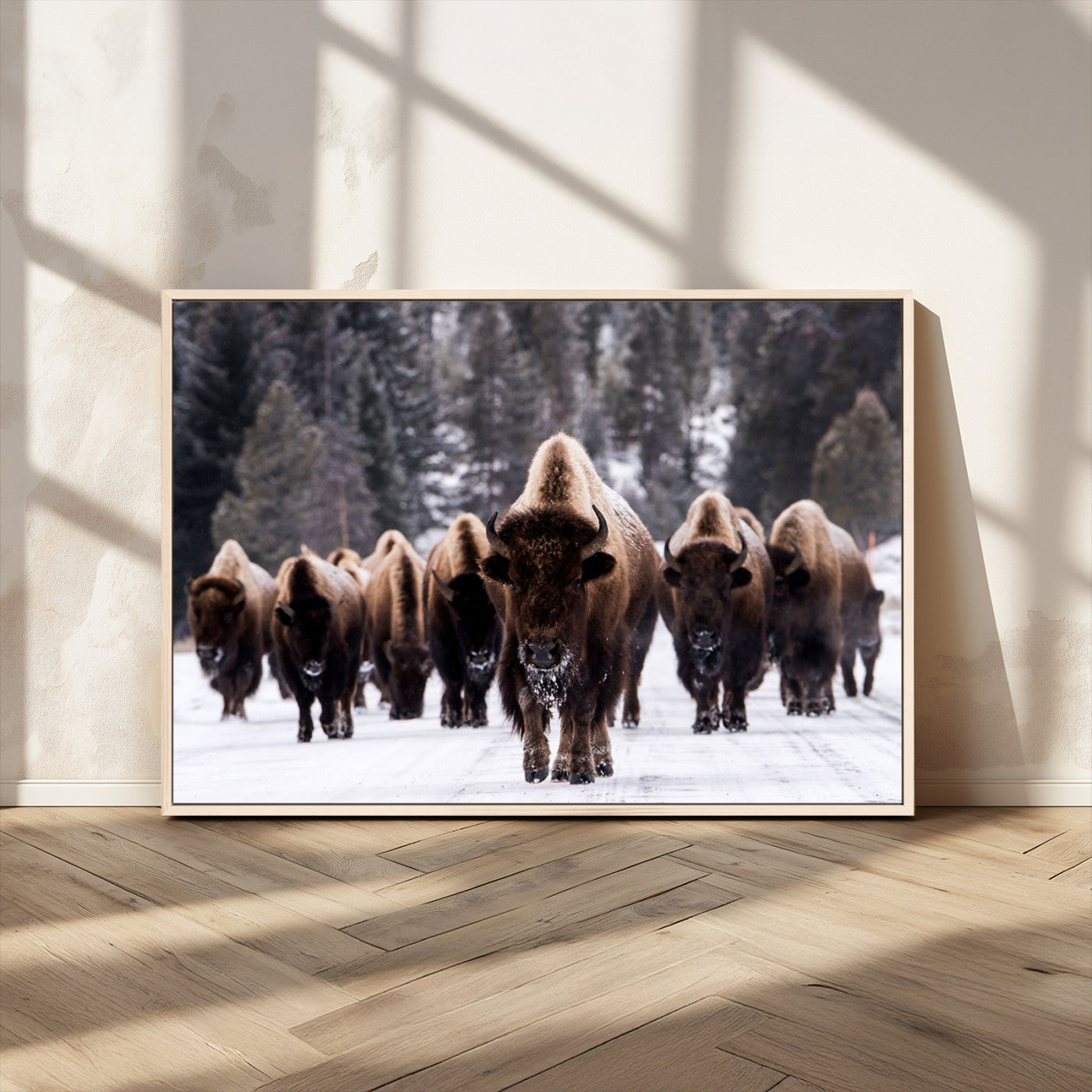 MGV-FC-36X24 - Bison Wall Art Canvas Print- Bison Herd Canvas Wall Art – Majestic Wildlife Photography – Framed and Ready to Hang Nature-Inspired Art - Buffalo Wall Art Print