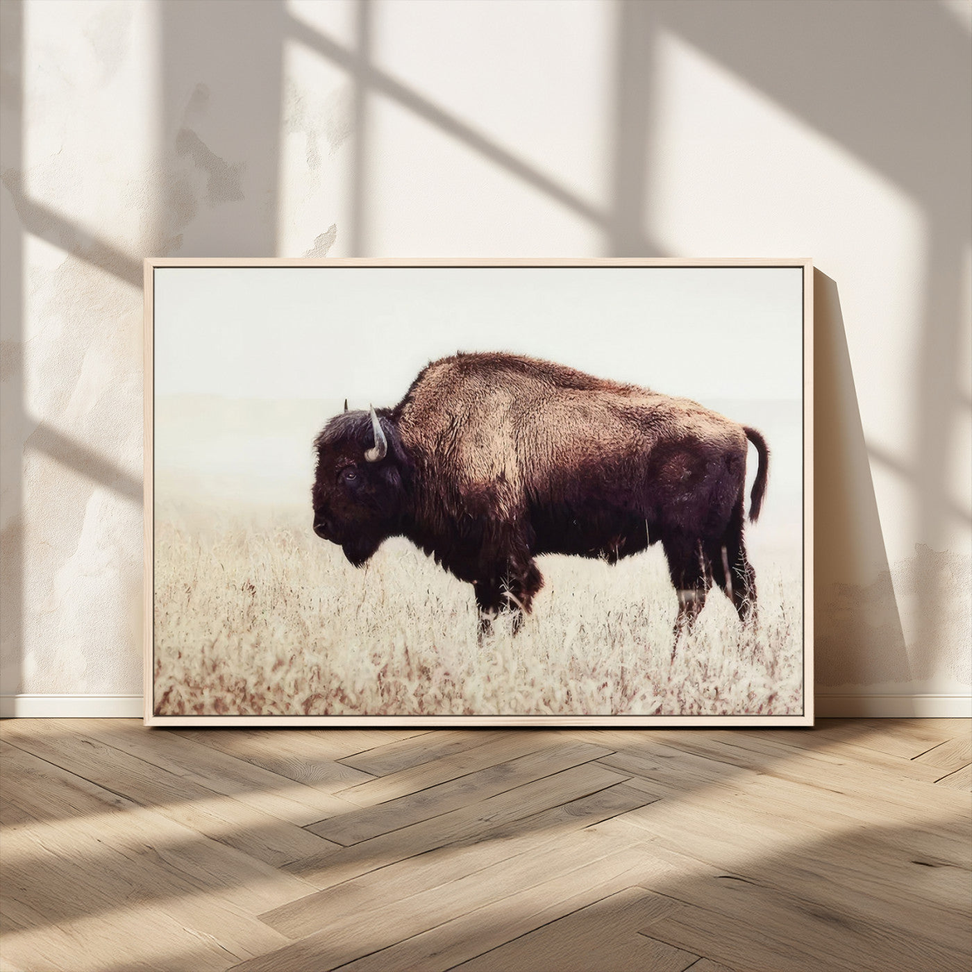MGV-FC-36X24 - Bison in Field Wall Art Canvas Print For Farmhouse Barn Decor