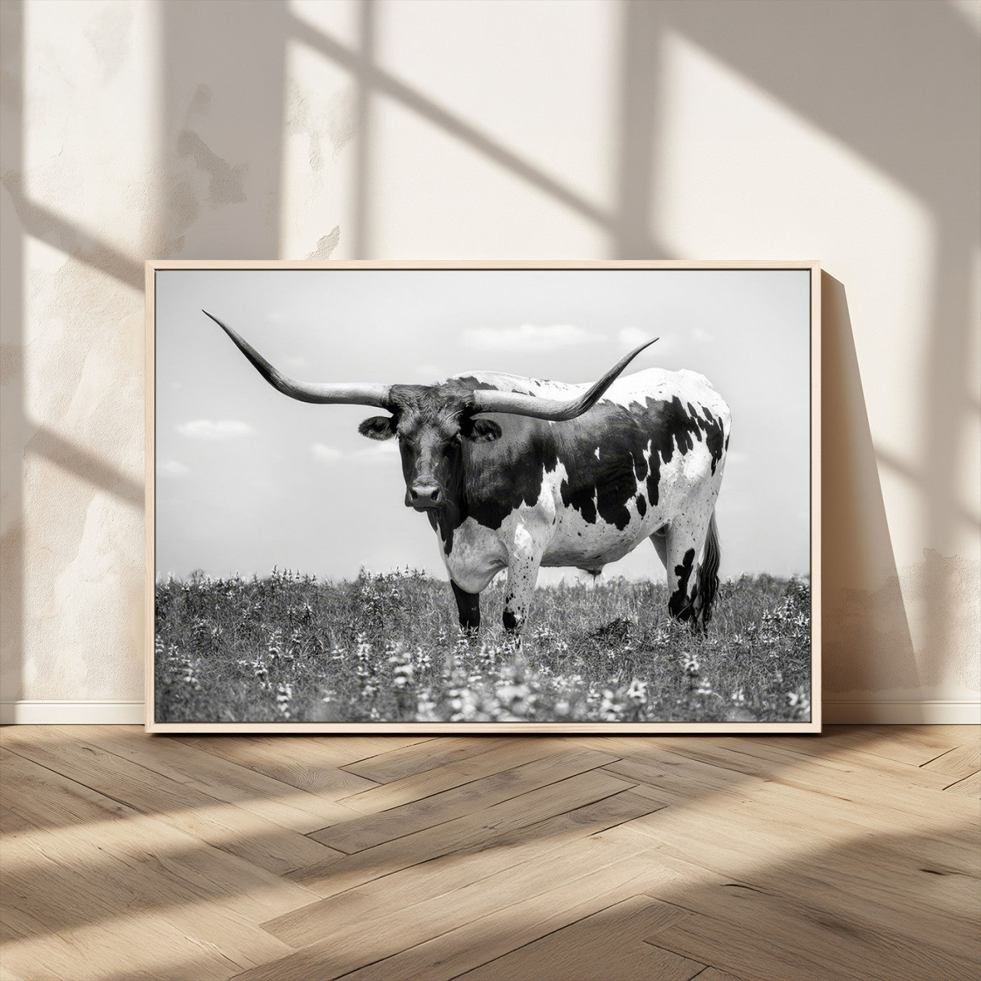 -Texas Black White Highland Longhorn Cow Wall Art Canvas Print