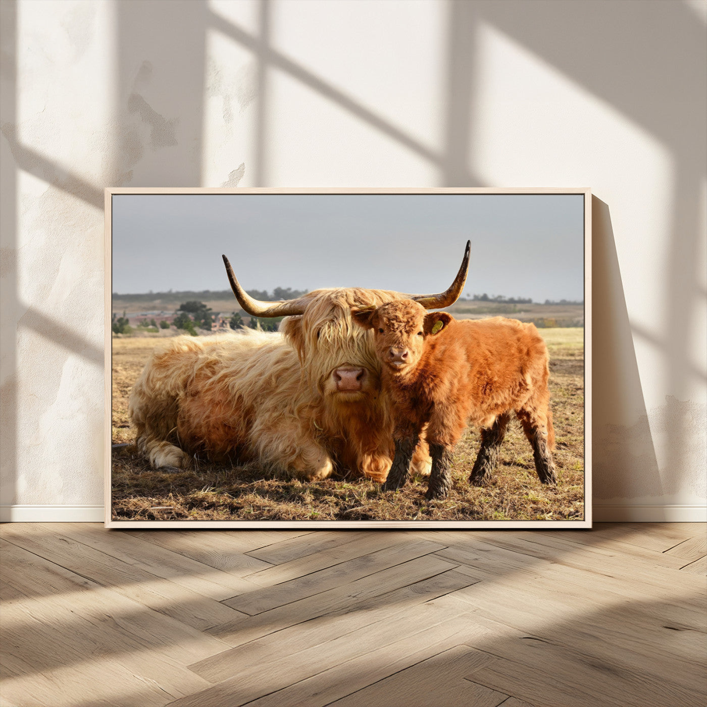 MGV-FC-36X24 - Highland Cow Canvas Wall Art Animal Print for Farm House Decor