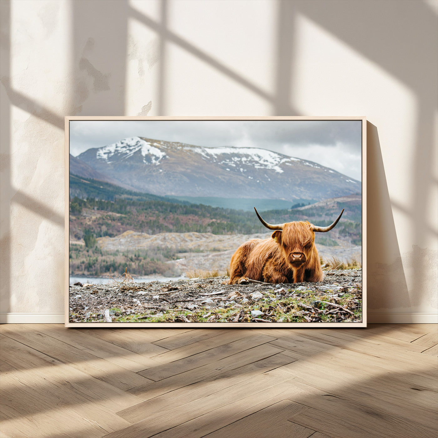 -Highland Cow Horn Farm Wall Art Canvas Print