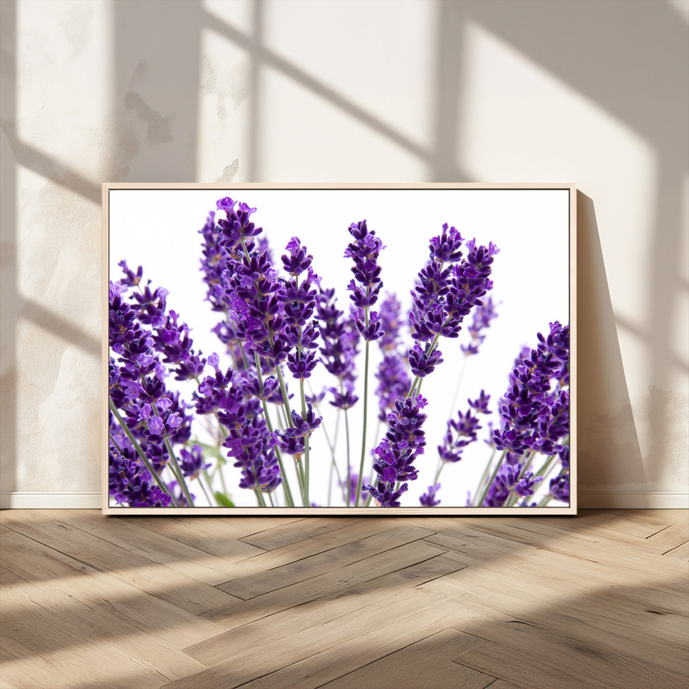 MGV-FC-36X24 - Lavender Flower Wall Art Canvas Print