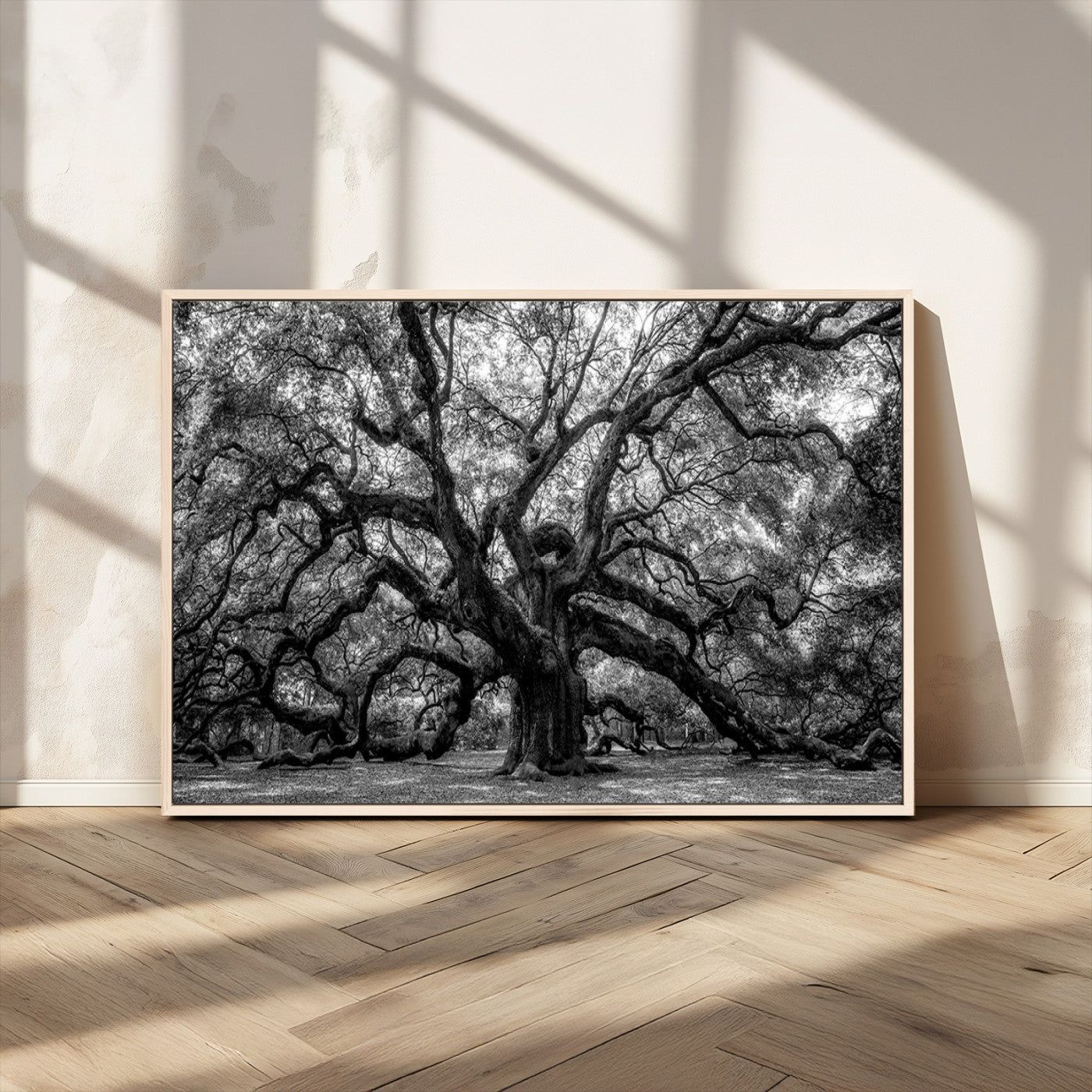 MGV-FC-36X24 - Black and White Old Angel Oak Tree Wall Art Canvas Print