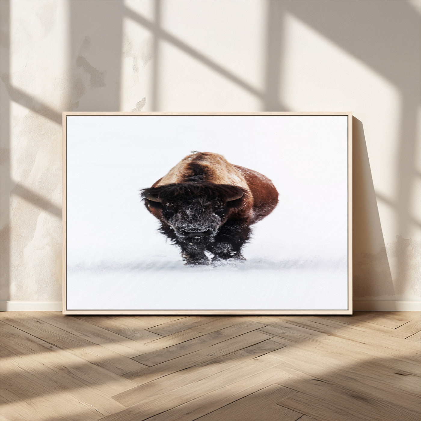 Front view of a strong bison walking in deep snow, isolated white background, perfect for rustic or lodge-style home decor.
