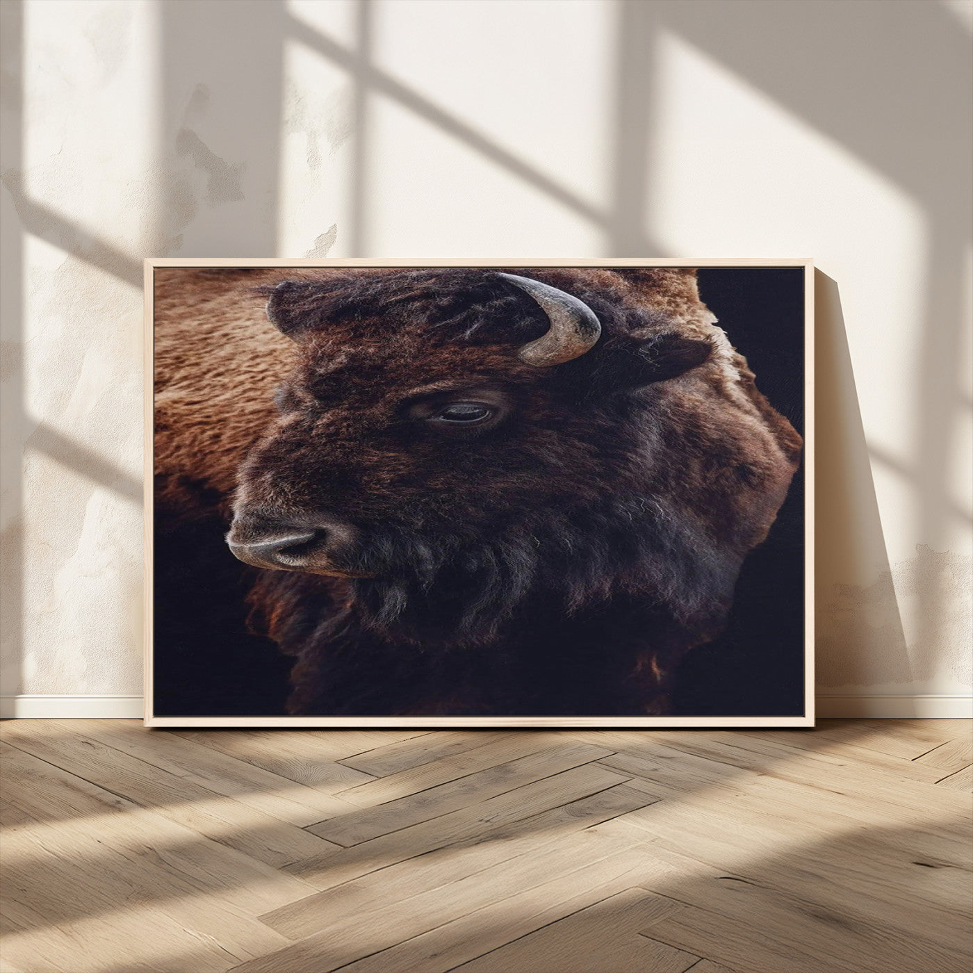 Close-up portrait of a bison with dark fur on a black background, perfect for rustic, lodge, or Western-style interior wall decor.