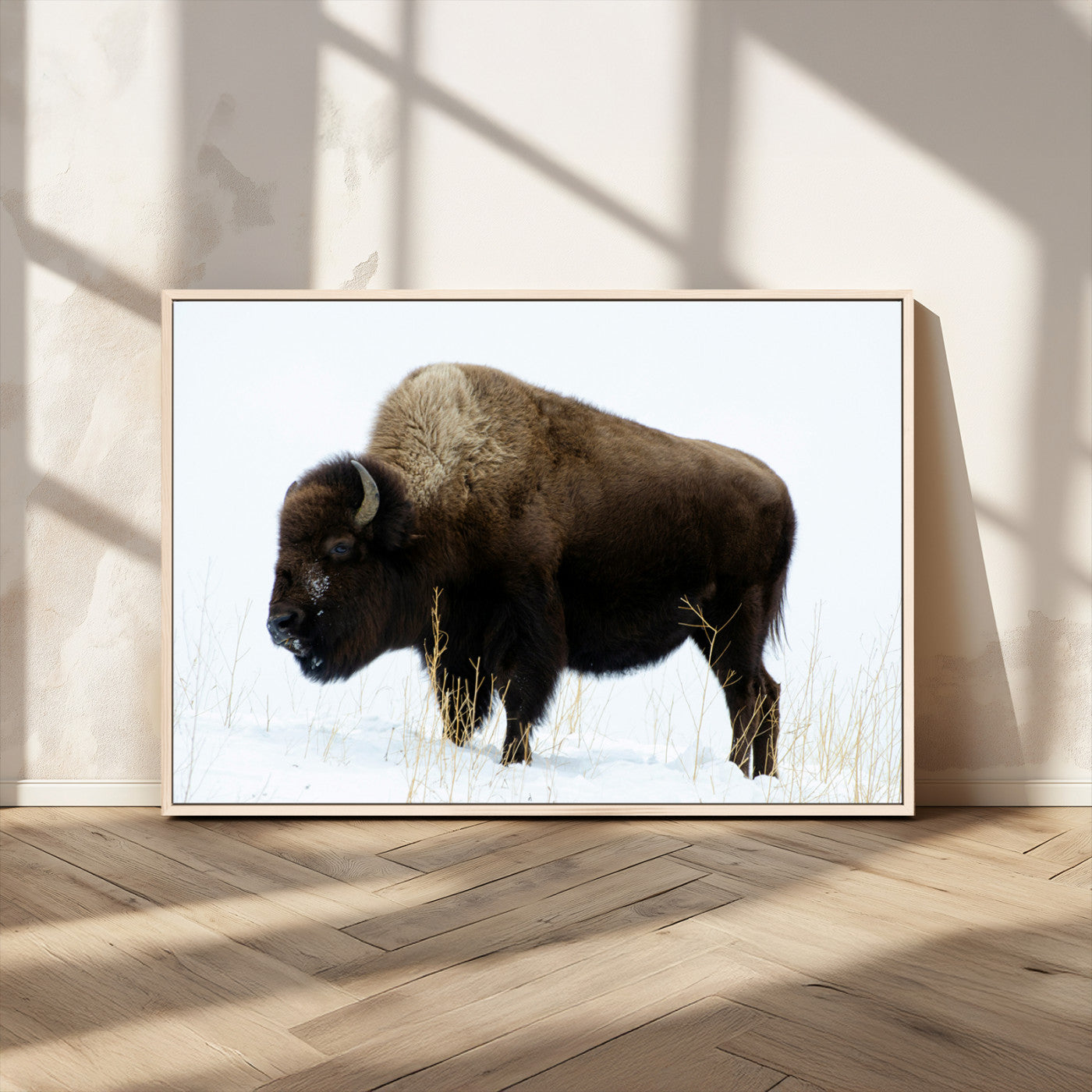 MGV-FC-36X24 - Bison Photography Wall Art Canvas Print, Framed Western Wildlife Art Picture Print, Buffalo On Snow Perfect Western Decor Artwork