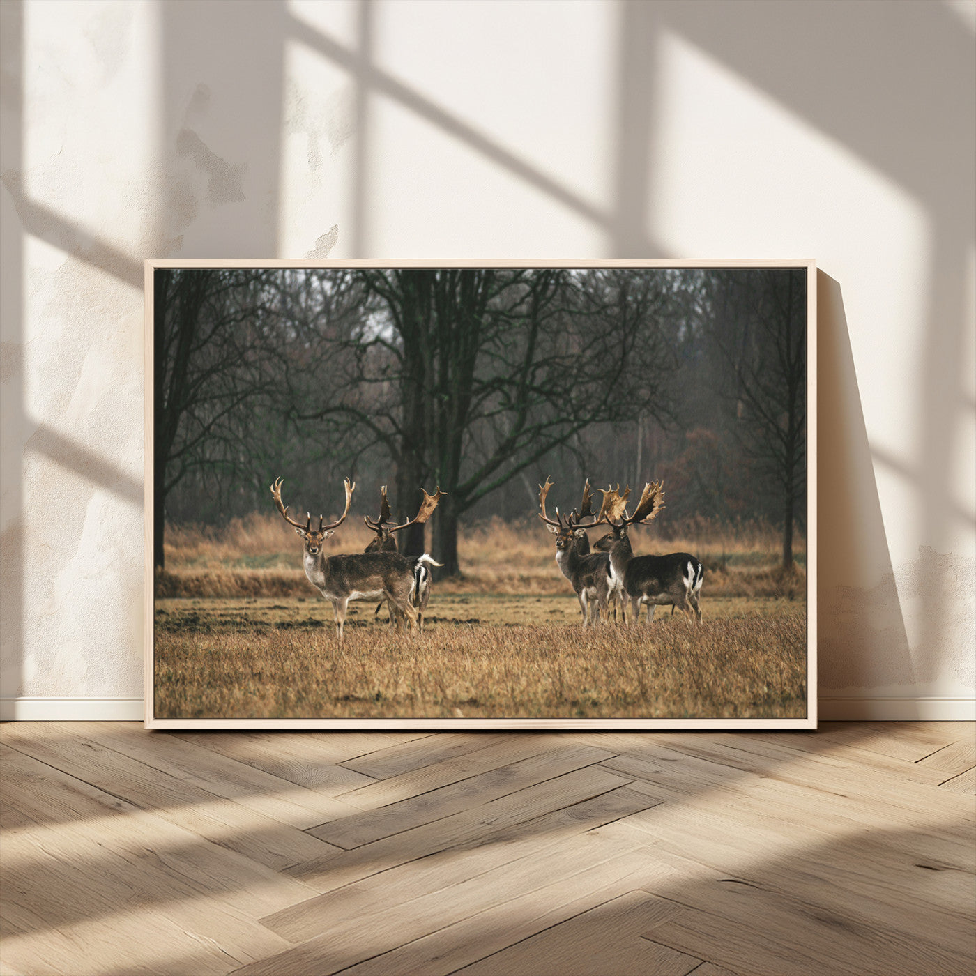 MGV-FC-36X24 - Deer Photography Wall Art Canvas Print, Framed Rustic Wildlife Art Picture Print, Stags In Forest Perfect Rustic Wilderness Decor Artwork