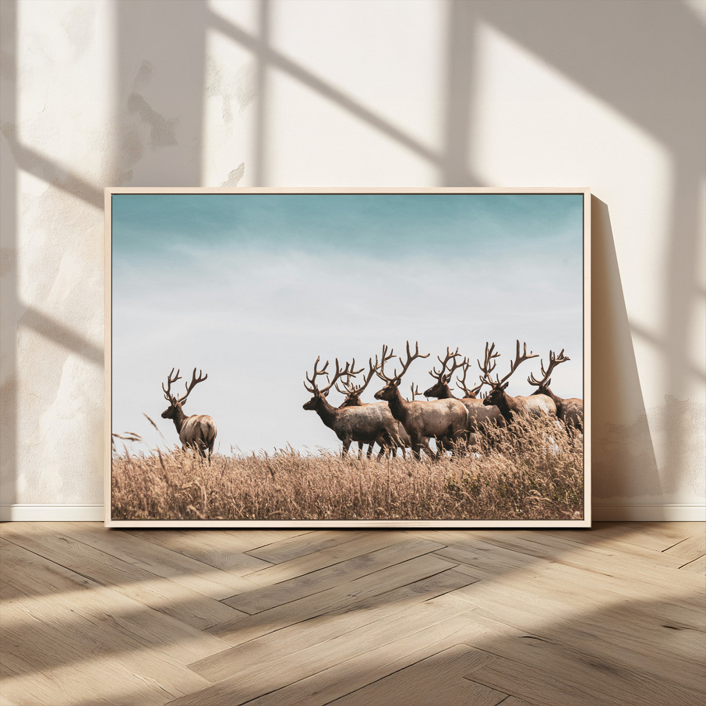 MGV-FC-36X24 - Elk Herd Wall Art Canvas Print, Framed Wildlife Photography Art Picture Print, Rustic Nature Print Perfect Rustic Wildlife Decor Artwork