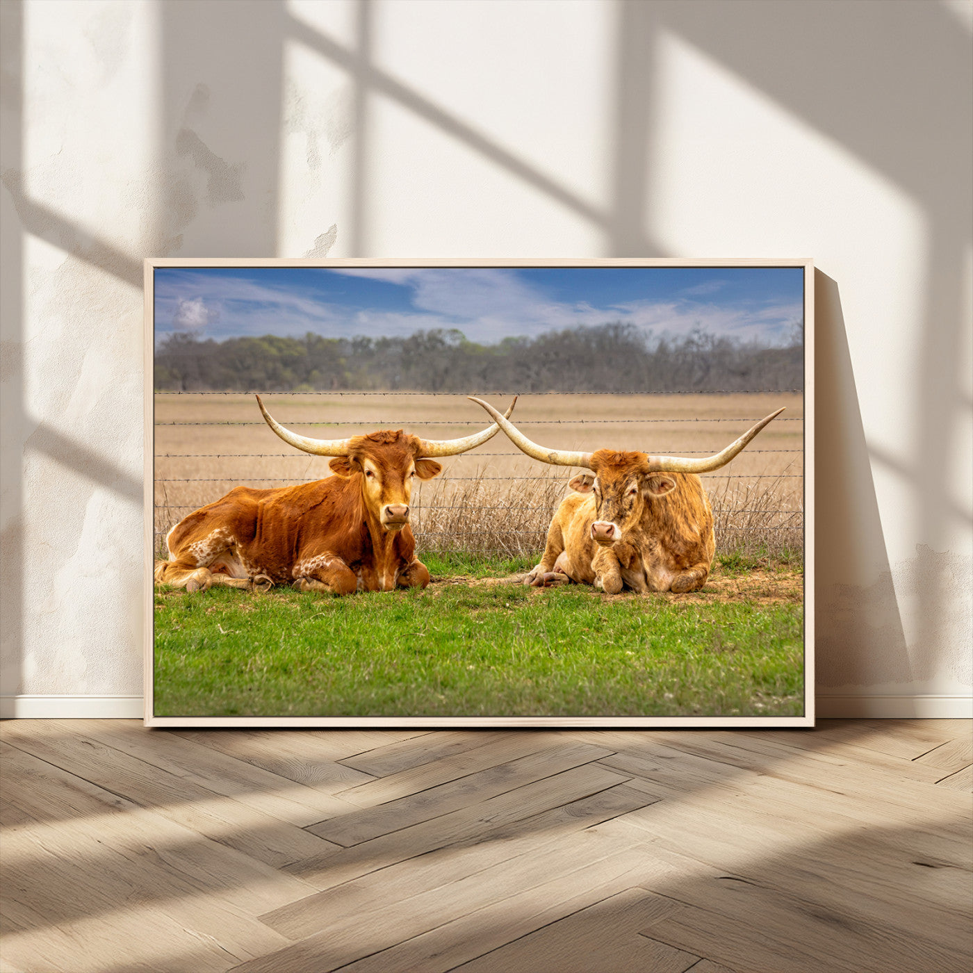 MGV-FC-36X24 - Texas Longhorn Pair Wall Art Canvas Print – Peaceful Rustic Ranch Scene with Two Cattle in Field,