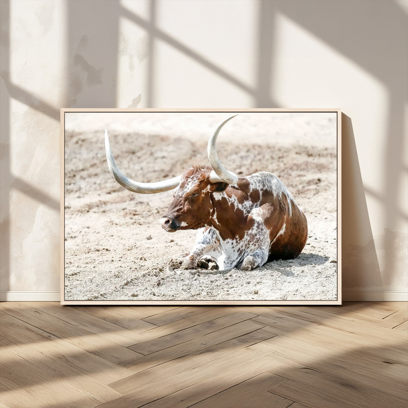 MGV-FC-36X24 - Majestic Longhorn Resting on Sunlit Desert Ground – Striking Western-Themed Wall Art Canvas Print