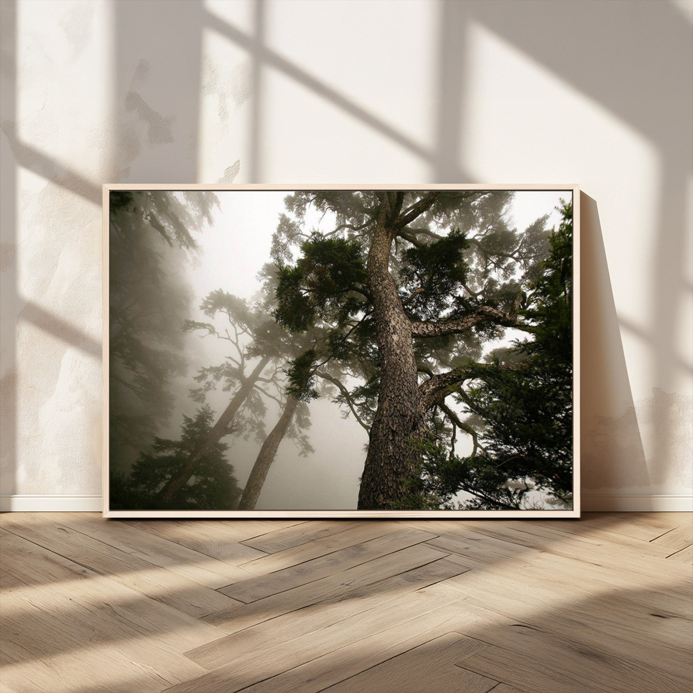 87969493-MGV-CV-36X24-Misty Forest Tall Trees Foggy Atmosphere Nature Serenity Calm Wooded Landscape Tranquil Scene Outdoor Beauty Wall Art Canvas Print