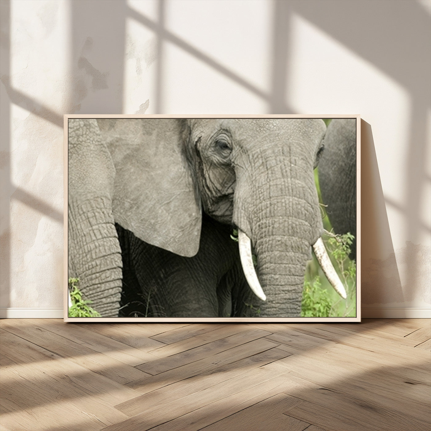 MGV-FC-36X24 - Wild Elephant Wall Art Canvas Print