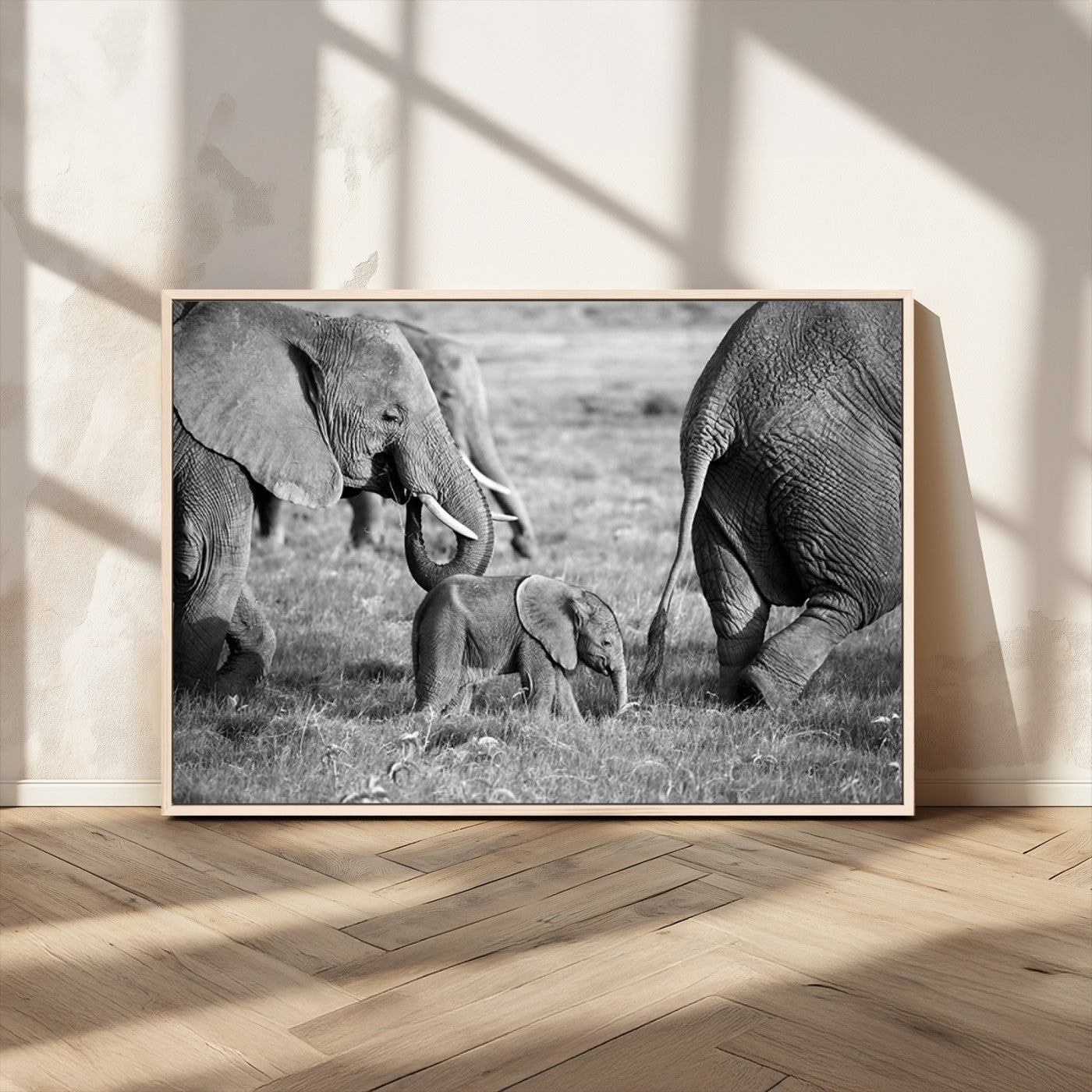 MGV-FC-36X24 - Wild Elephant Wall Art Canvas Print