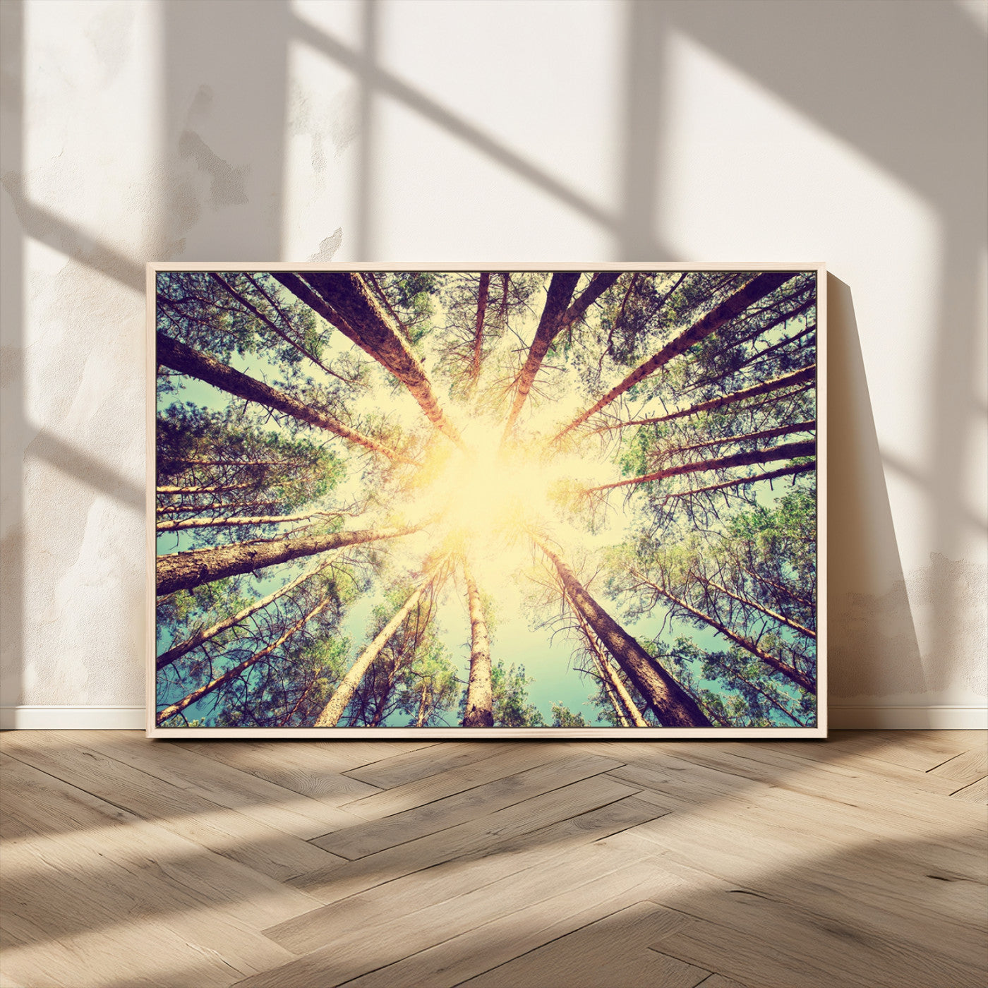 89611-MGV-FC-36X24_Natural-Tree and Sunshine Canvas Print