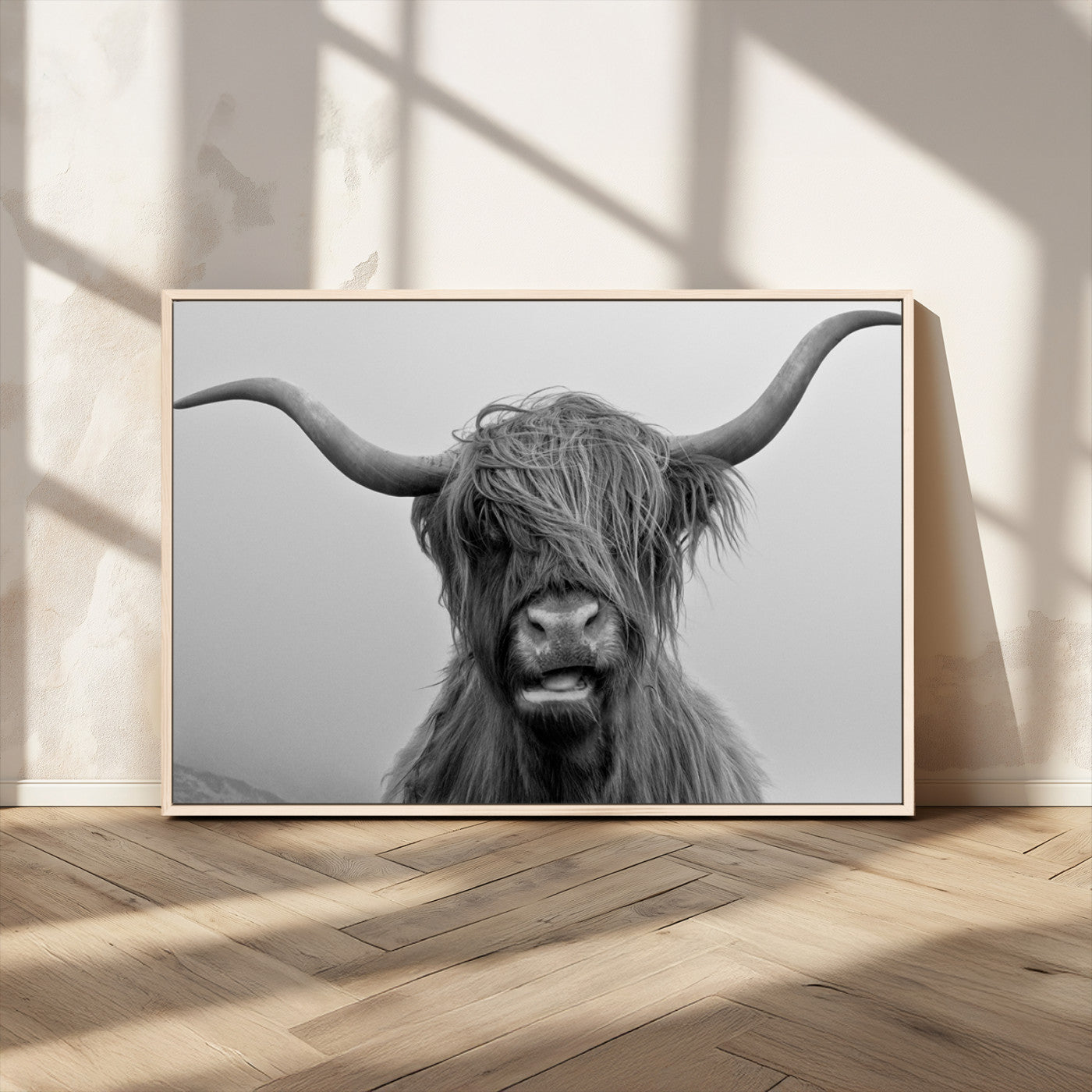 MGV-FC-36X24 - Texas Cow Wall Art Canvas, Texas Longhorn Cattle Canvas Print