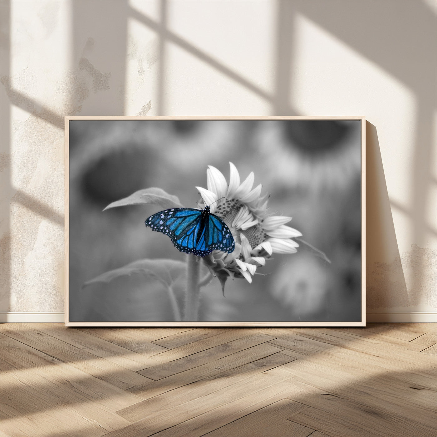 MGV-FC-36X24 - Blue Butterfly Black and White Canvas Wall Art