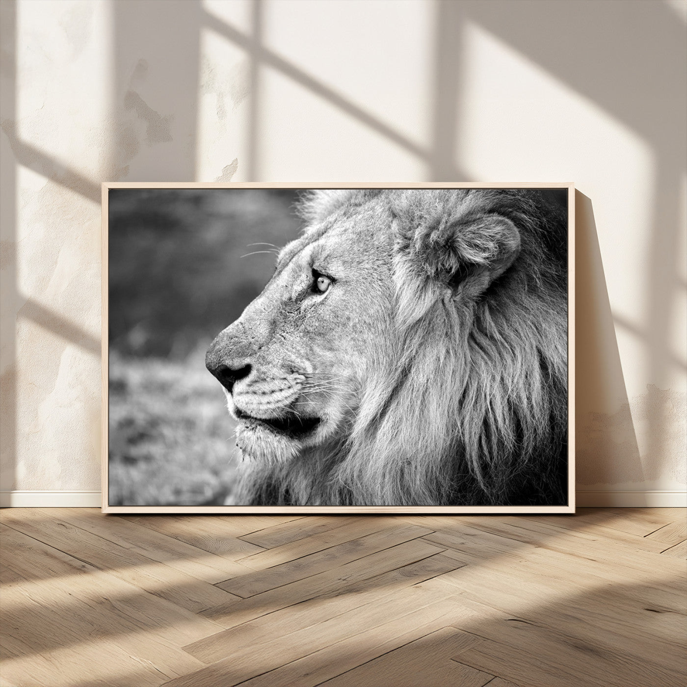 MGV-FC-36X24 - African Lion Wall Art Canvas Print