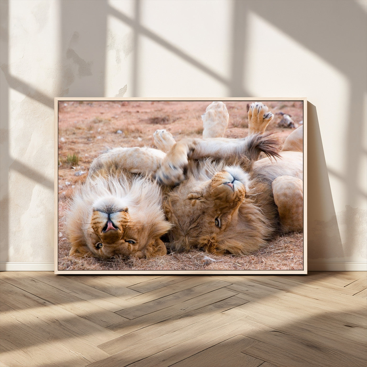MGV-FC-36X24 - Animal Wall Art Lion Canvas Print