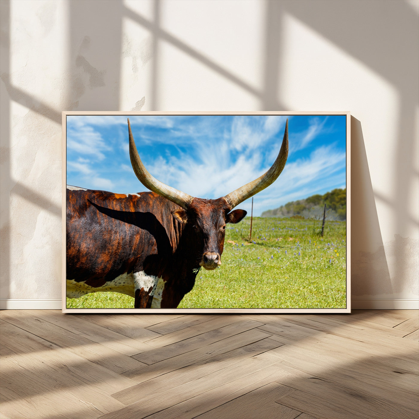MGV-FC-36X24 - Longhorn and Cow Wall Art, Country Cow Wall Decor Canvas Print