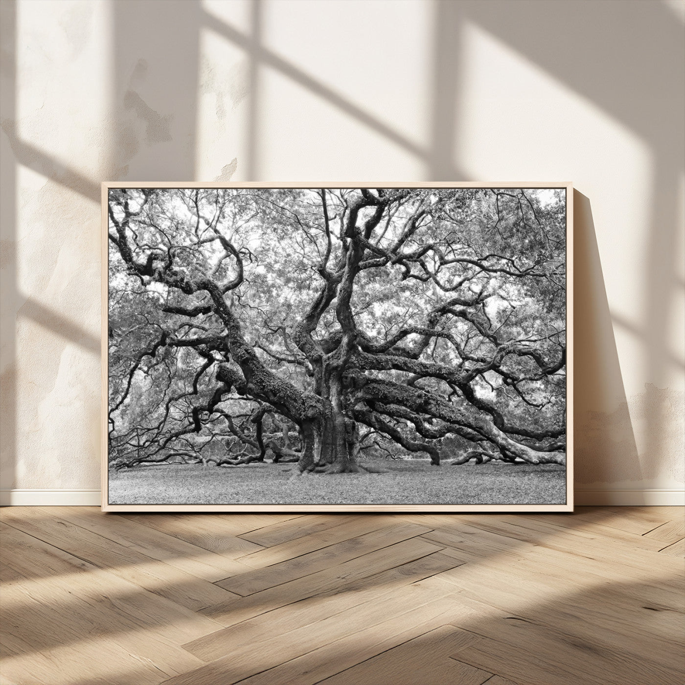 MGV-FC-36X24 - Black White Angel Oak Tree Wall Art - Timeless Nature-Inspired Canvas for Rustic, Modern, or