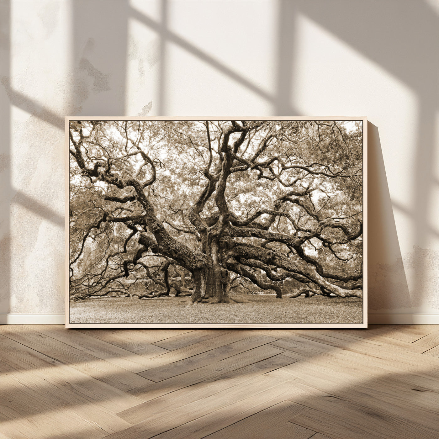 51126-MGV-CV-36X24-Sepia Framed Angel Oak Tree Wall Art - 3-Panel Canvas Prints, Large Green Nature Artwork, Ready to