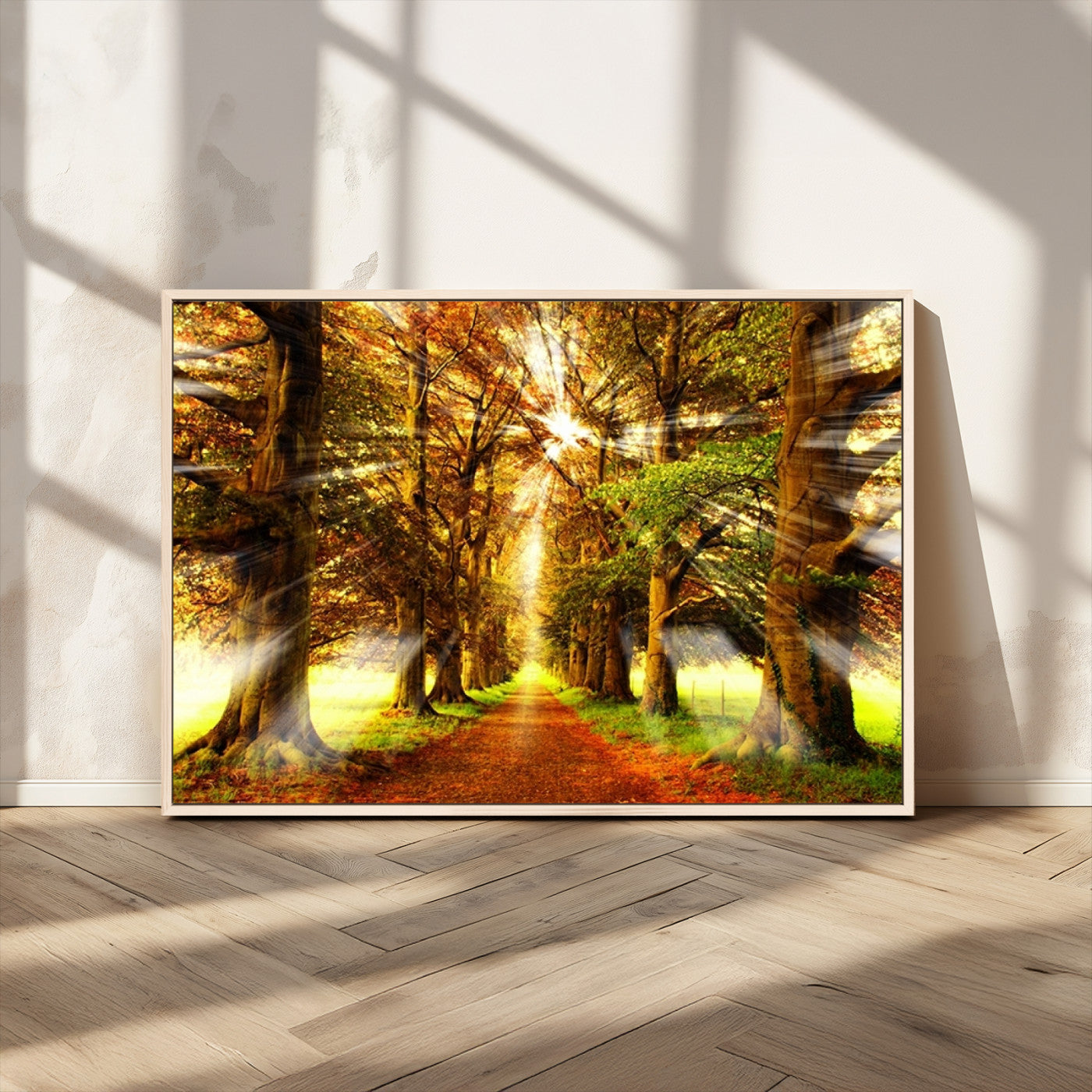 MGV-FC-36X24 - Sunshine in Forest and Trees Wall Art Canvas Print