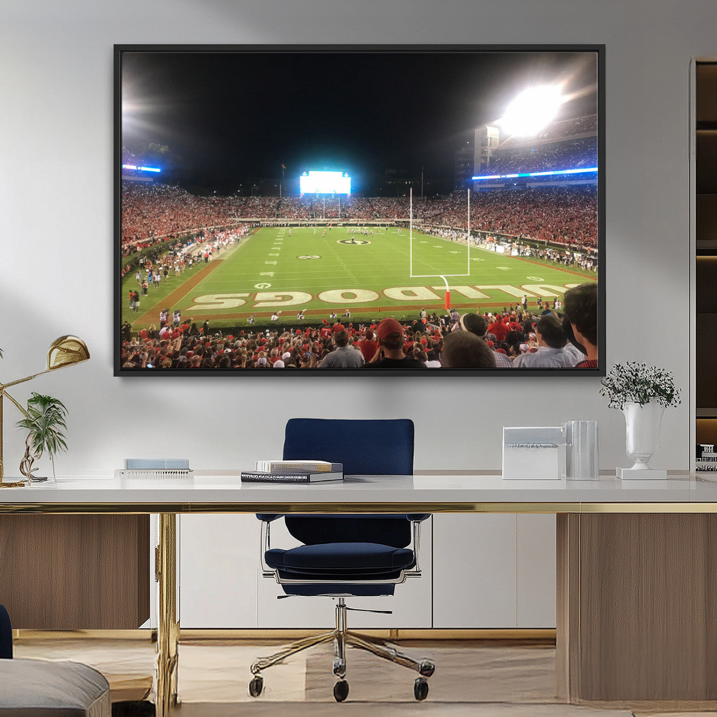 Dooley Stadium Wall Art Print, Sports Arena Canvas Wall Art, Panoramic Stadium Canvas Print, Modern Athletic Field Art Printing