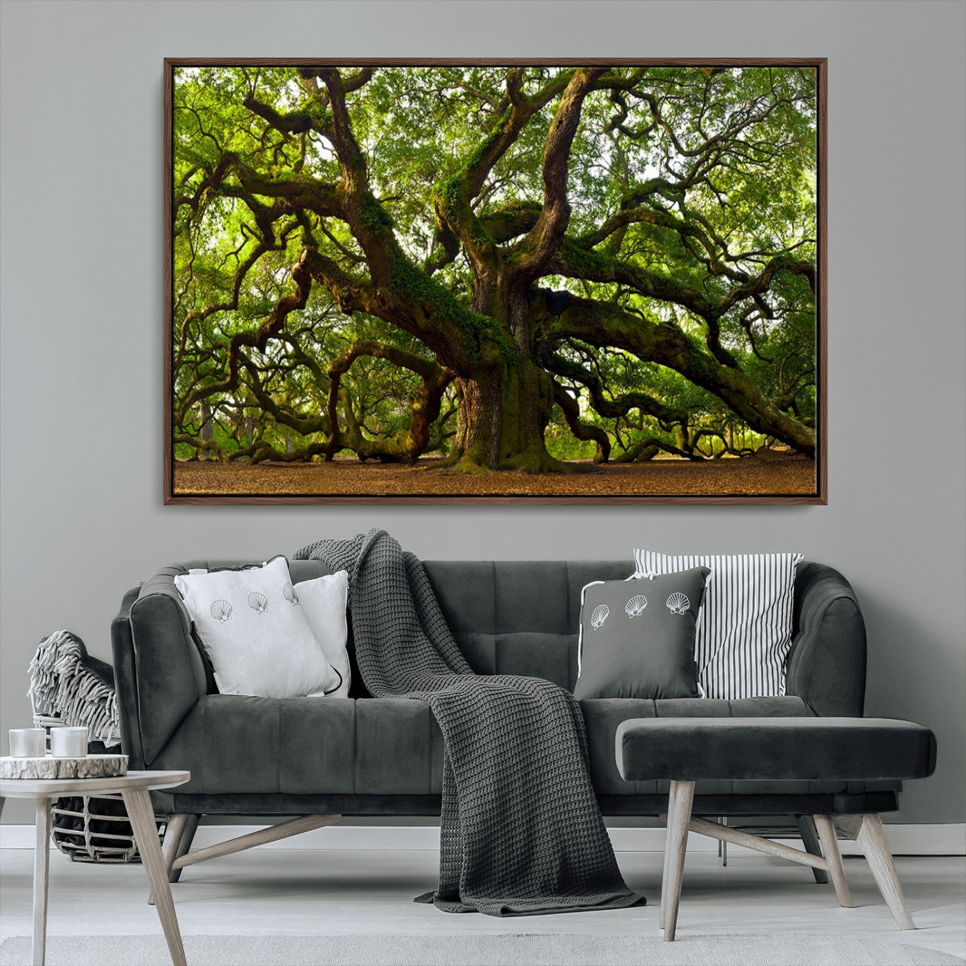 MGV-FC-36X24 - Angel Oak Tree Wall Art Canvas Print | Forest Tree Nature Photography Print on Canvas | Large Triptych Art for Living Room or Office Decor