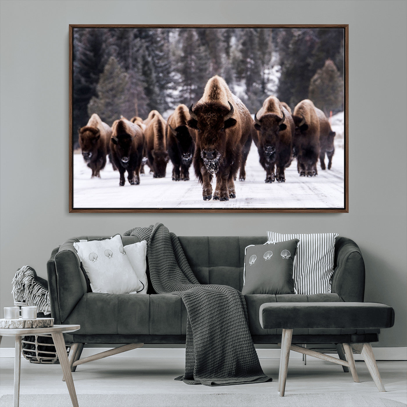 MGV-FC-36X24 - Bison Wall Art Canvas Print- Bison Herd Canvas Wall Art – Majestic Wildlife Photography – Framed and Ready to Hang Nature-Inspired Art - Buffalo Wall Art Print