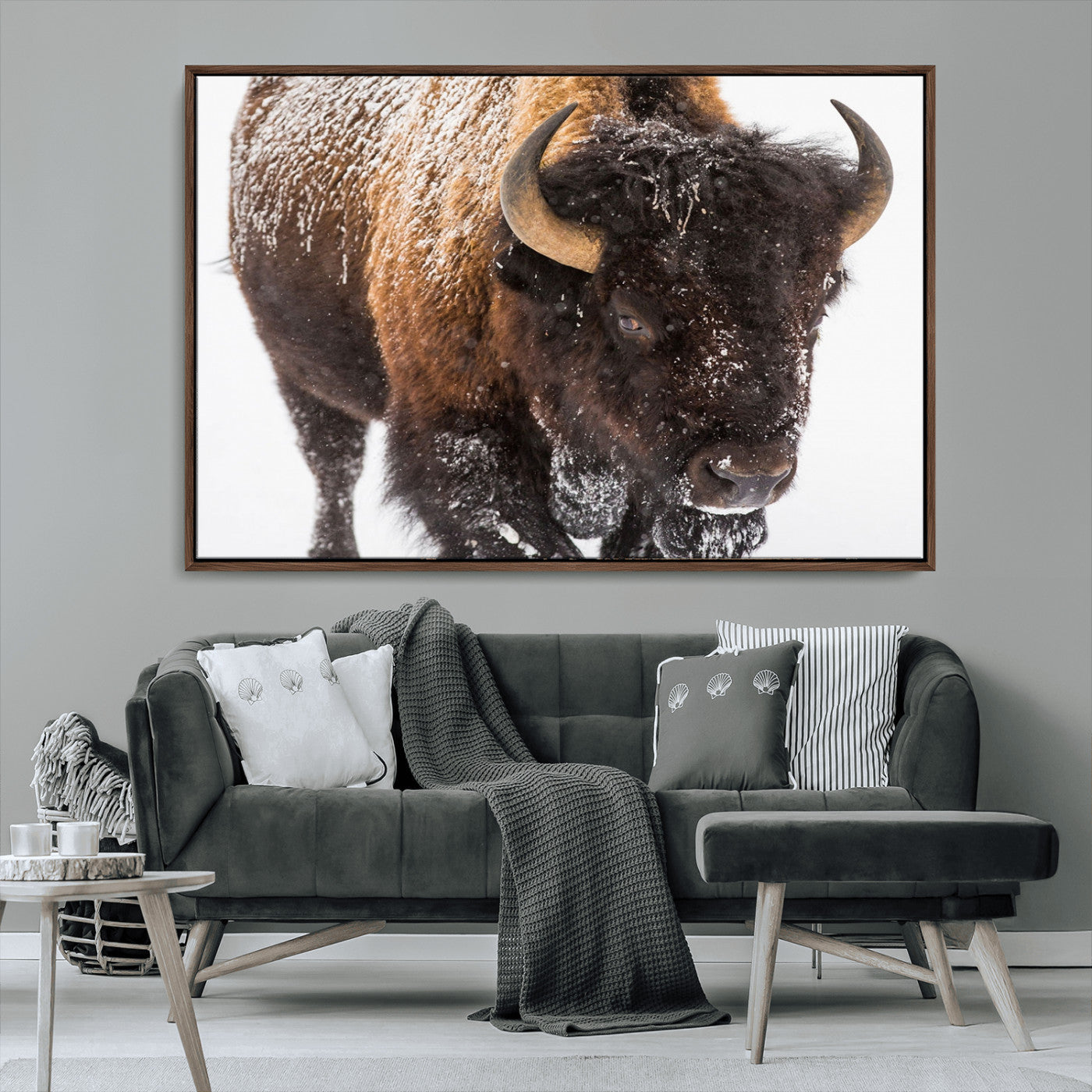 MGV-FC-36X24 - Bison Wall Art Canvas Print For Farmhouse, Wild Animal Wall Art
