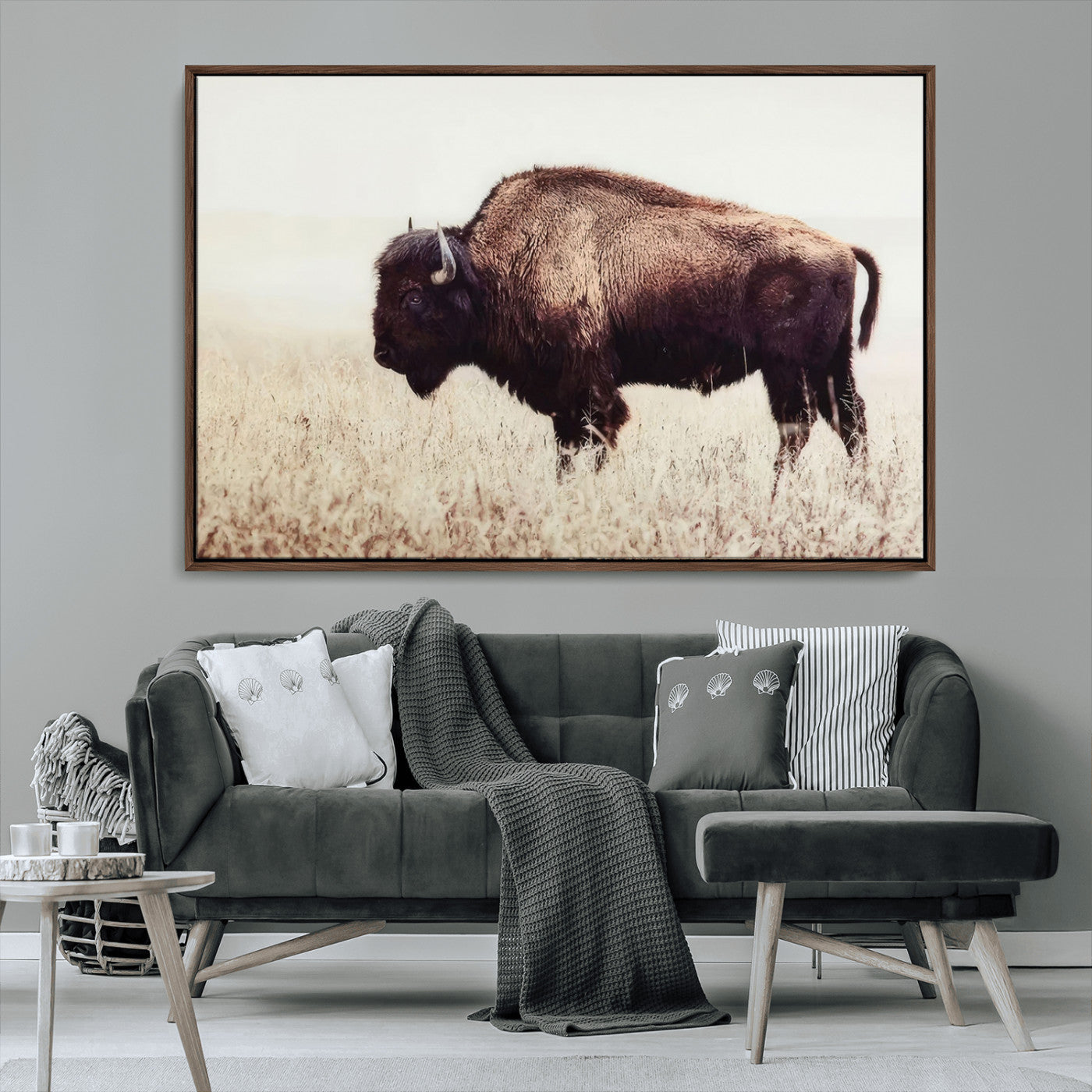 MGV-FC-36X24 - Bison in Field Wall Art Canvas Print For Farmhouse Barn Decor
