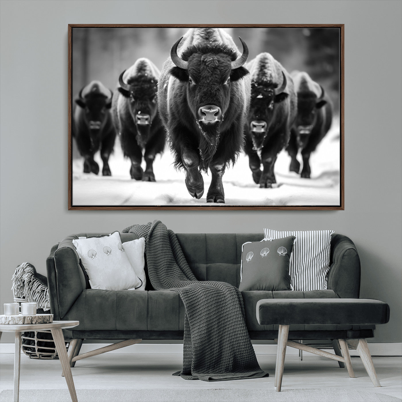 MGV-FC-36X24 - American Bison Art | Buffalo Herd Wall Art Canvas Print, BW American Bison Herd Wall Art Canvas Print