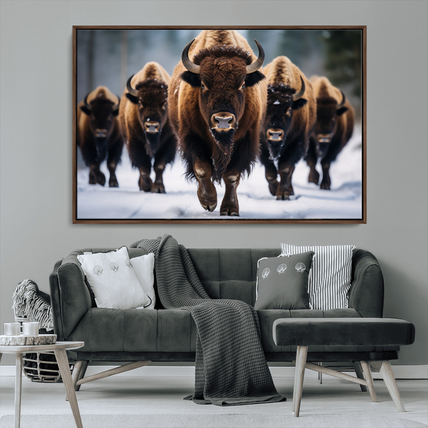 MGV-FC-36X24 - Buffalo Wall Art Canvas Print, American Bison Herd Wall Art Canvas Print - Bison Canvas Print