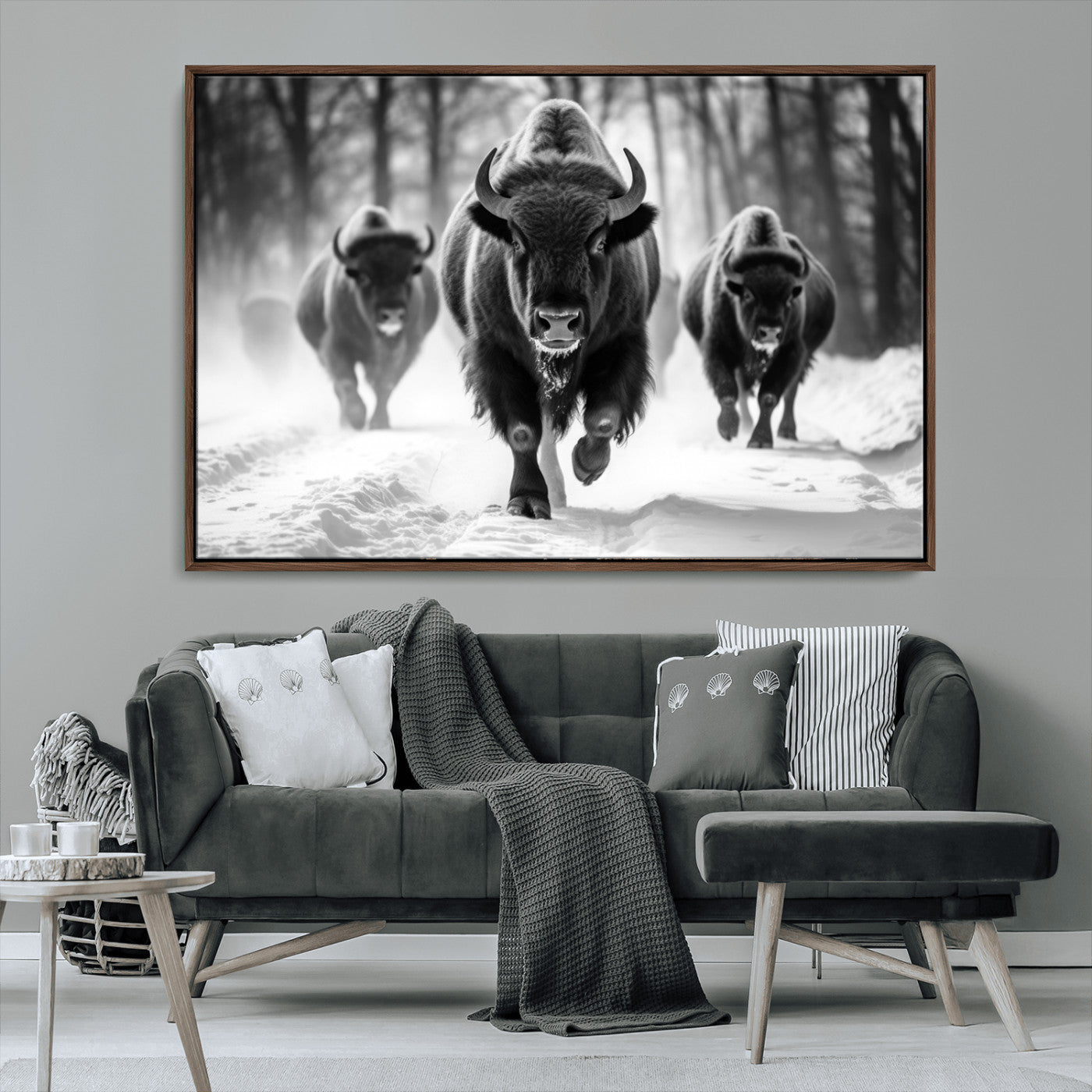 MGV-FC-36X24 - Buffalo Wall Art Canvas Print, Bison Family Wall Art Canvas Print