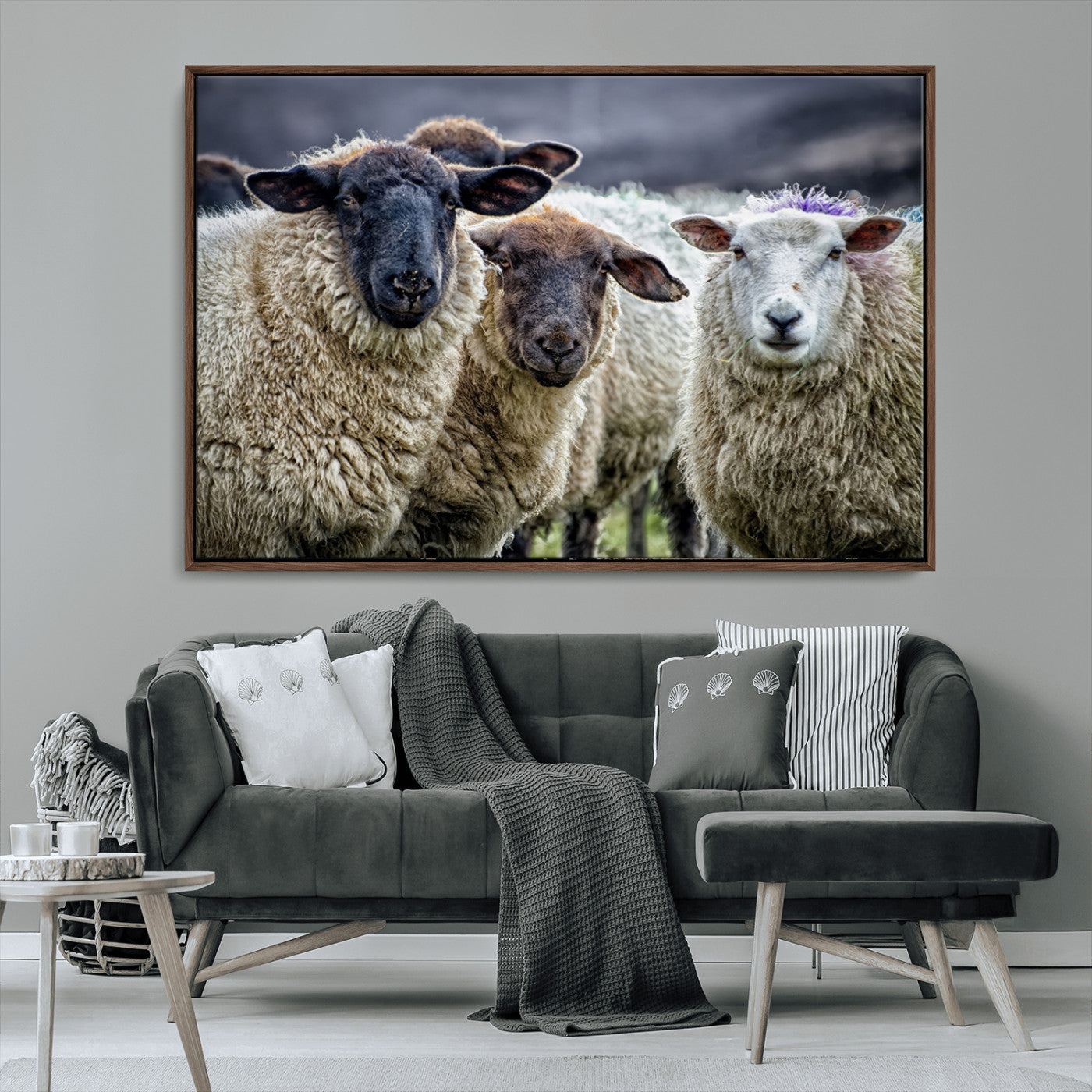 18418-MGV-FC-36X24_Walnut-Charming Sheep Portrait Wall Art – Trio of Woolly Companions Canvas Print, Framed, Ready to Hang