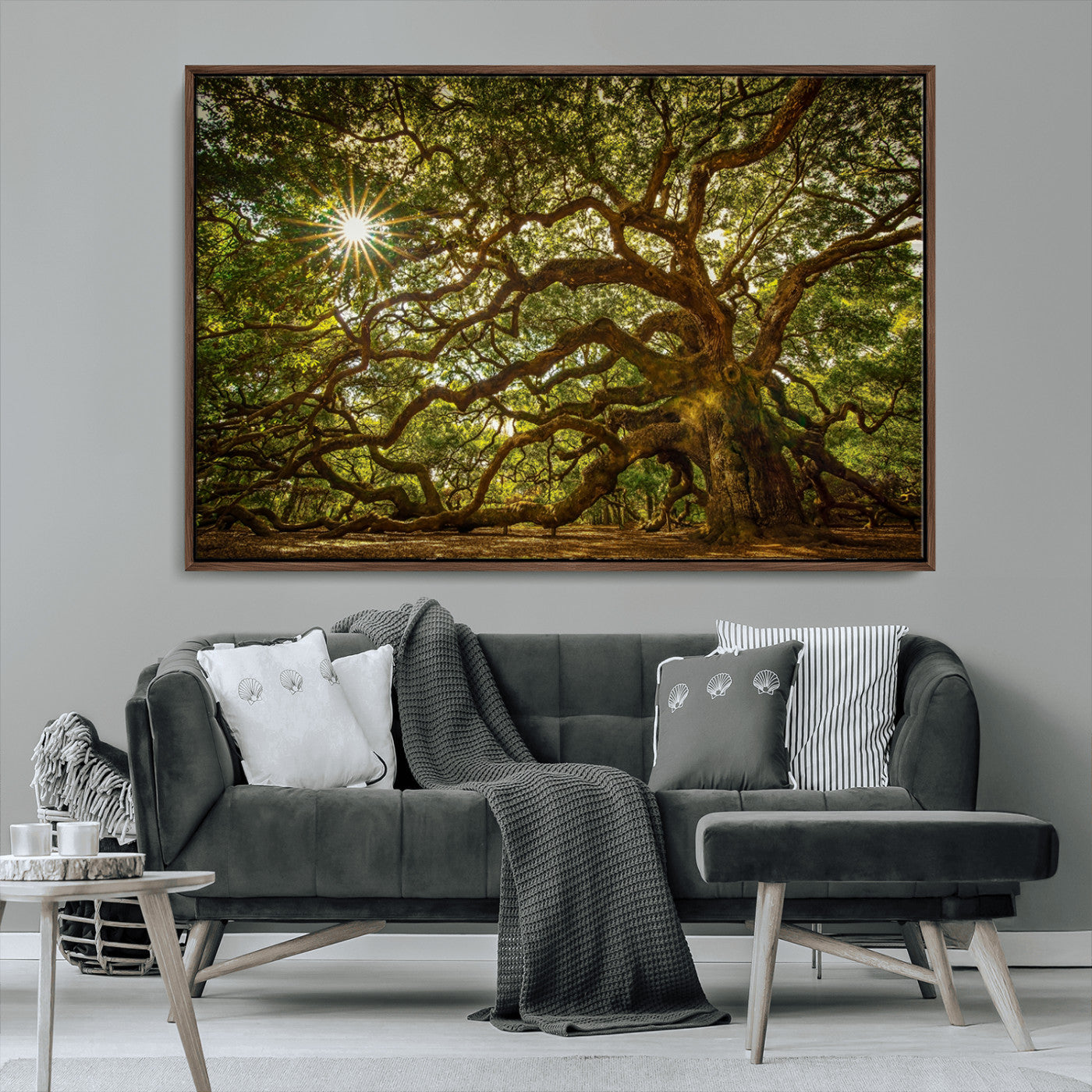 MGV-FC-36X24 - Ancient Angel Oak Tree Art Sunburst Canvas Print- Nature-Inspired Triptych Canvas Print, Framed, Ready to Hang
