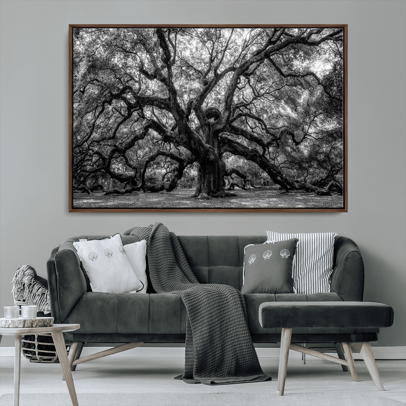 MGV-FC-36X24 - Black and White Old Angel Oak Tree Wall Art Canvas Print