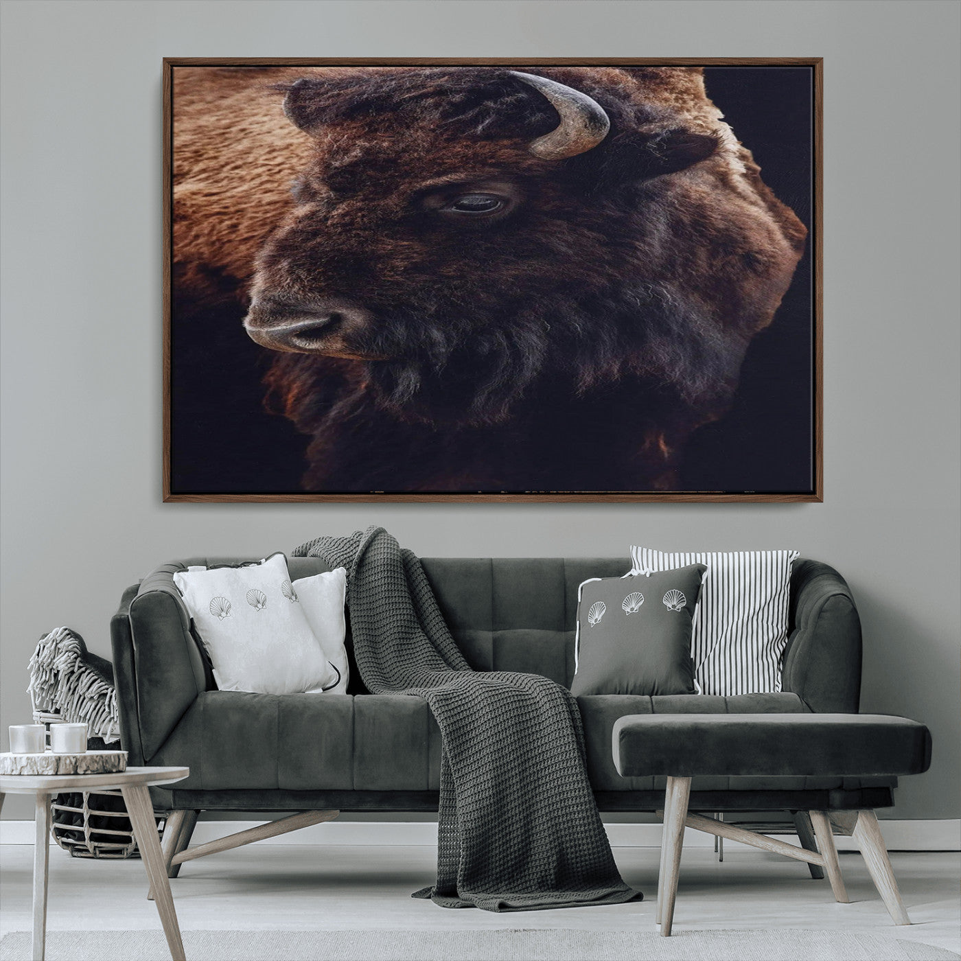 Close-up portrait of a bison with dark fur on a black background, perfect for rustic, lodge, or Western-style interior wall decor.