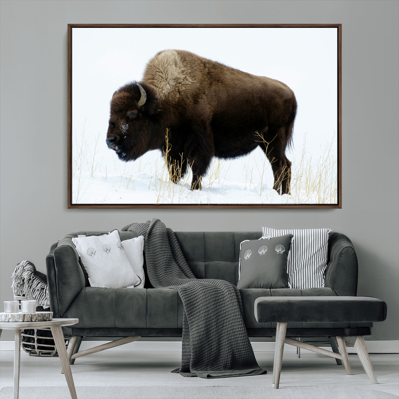 MGV-FC-36X24 - Bison Photography Wall Art Canvas Print, Framed Western Wildlife Art Picture Print, Buffalo On Snow Perfect Western Decor Artwork