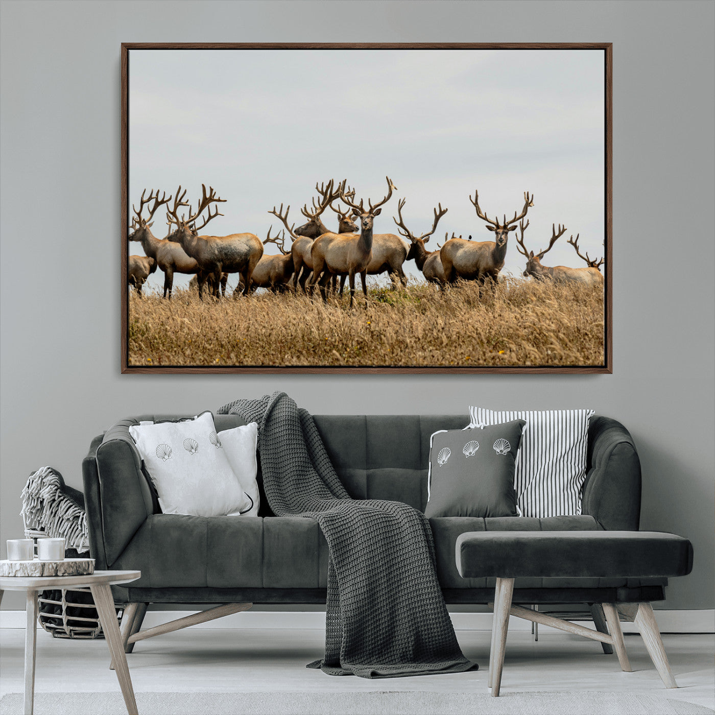 MGV-FC-36X24 - Elk Herd Wall Art Canvas Print, Framed Wildlife Photography Art Picture Print, Majestic Antlers Perfect Rustic Wildlife Decor Artwork