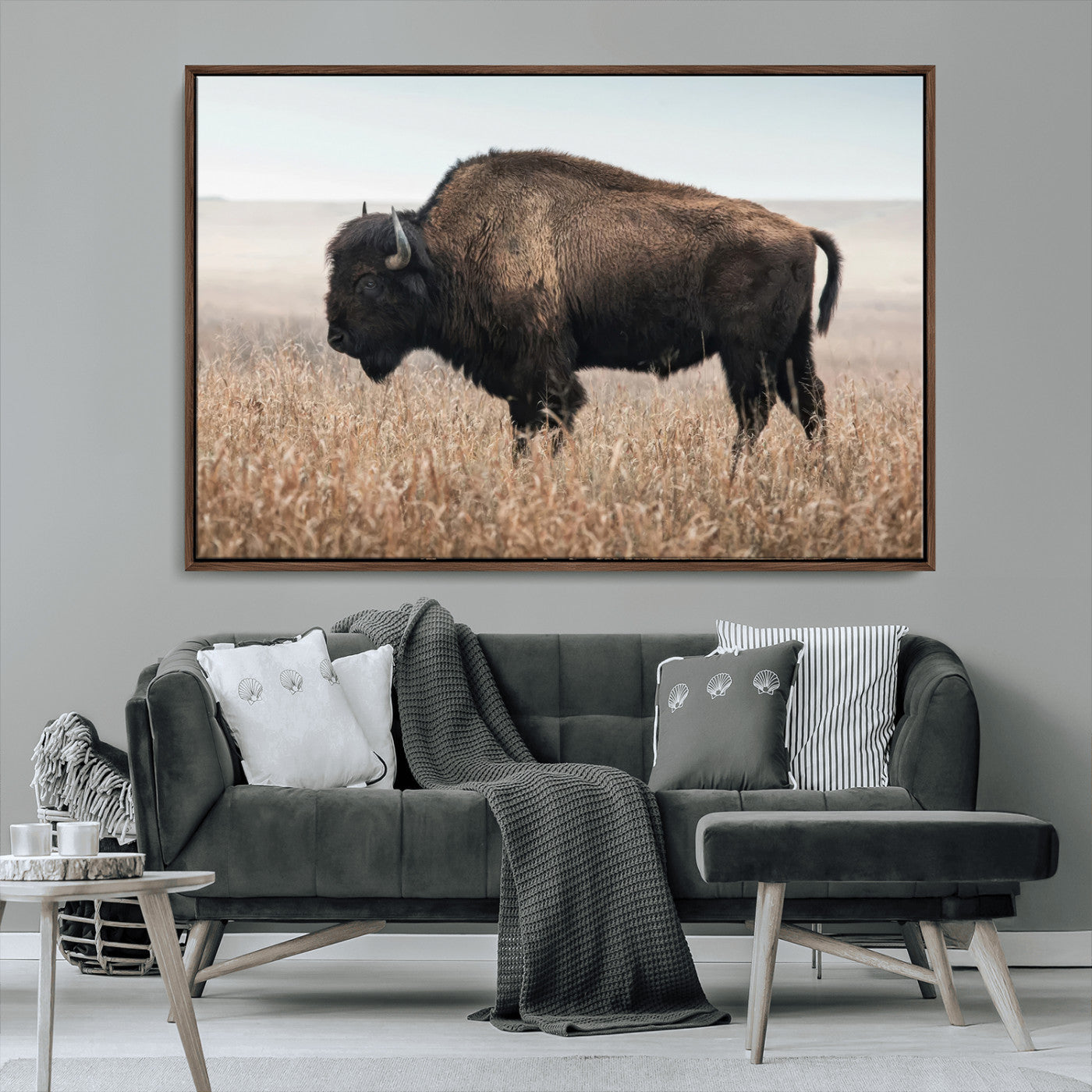 MGV-FC-36X24 - American Bison in Field  Wall Art Canvas Print – Powerful Winter Wildlife Scene with Buffalo in