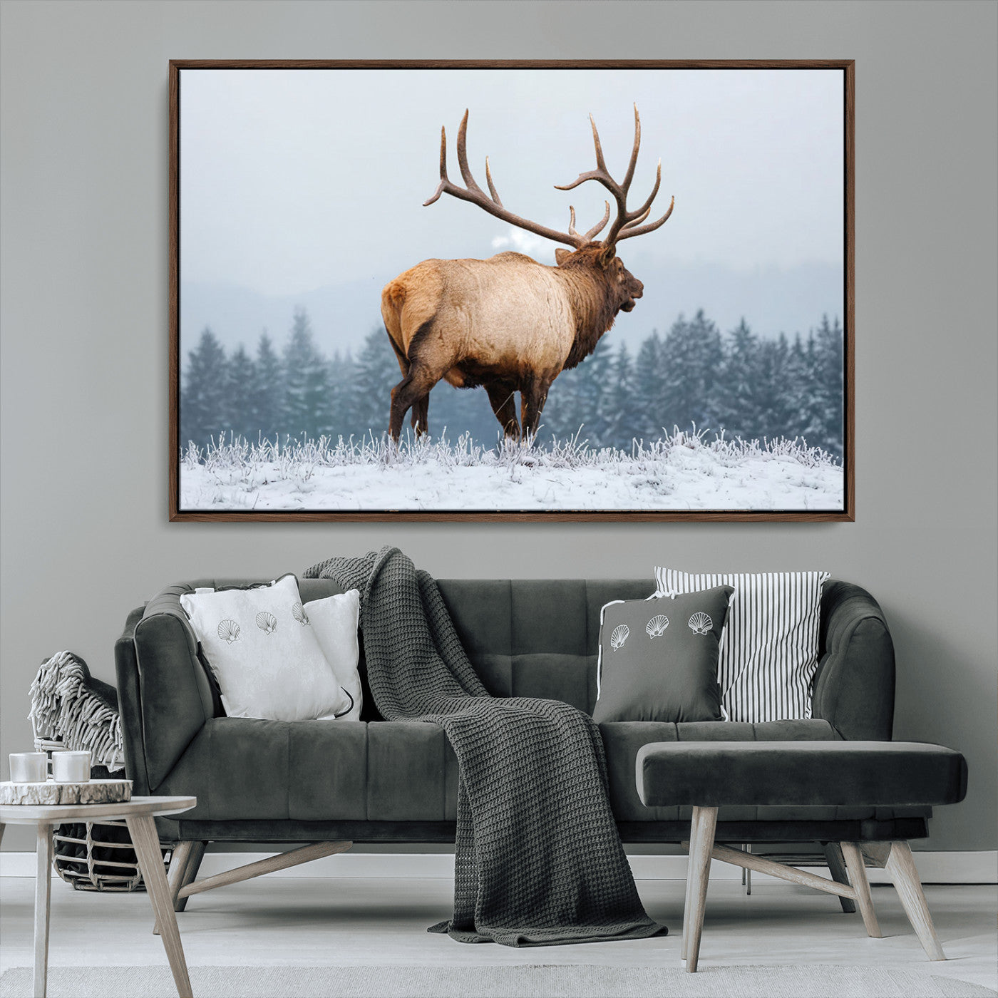 A majestic elk standing in a snowy landscape, with large antlers, set against a backdrop of evergreen trees and a soft winter sky.