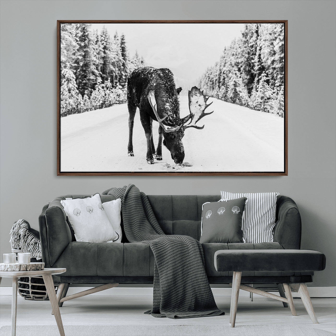 A majestic moose grazing in the snow-covered wilderness, surrounded by snow-covered trees, creating a peaceful winter scene.